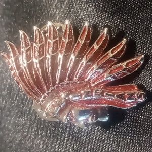 Indian coat pin broach.